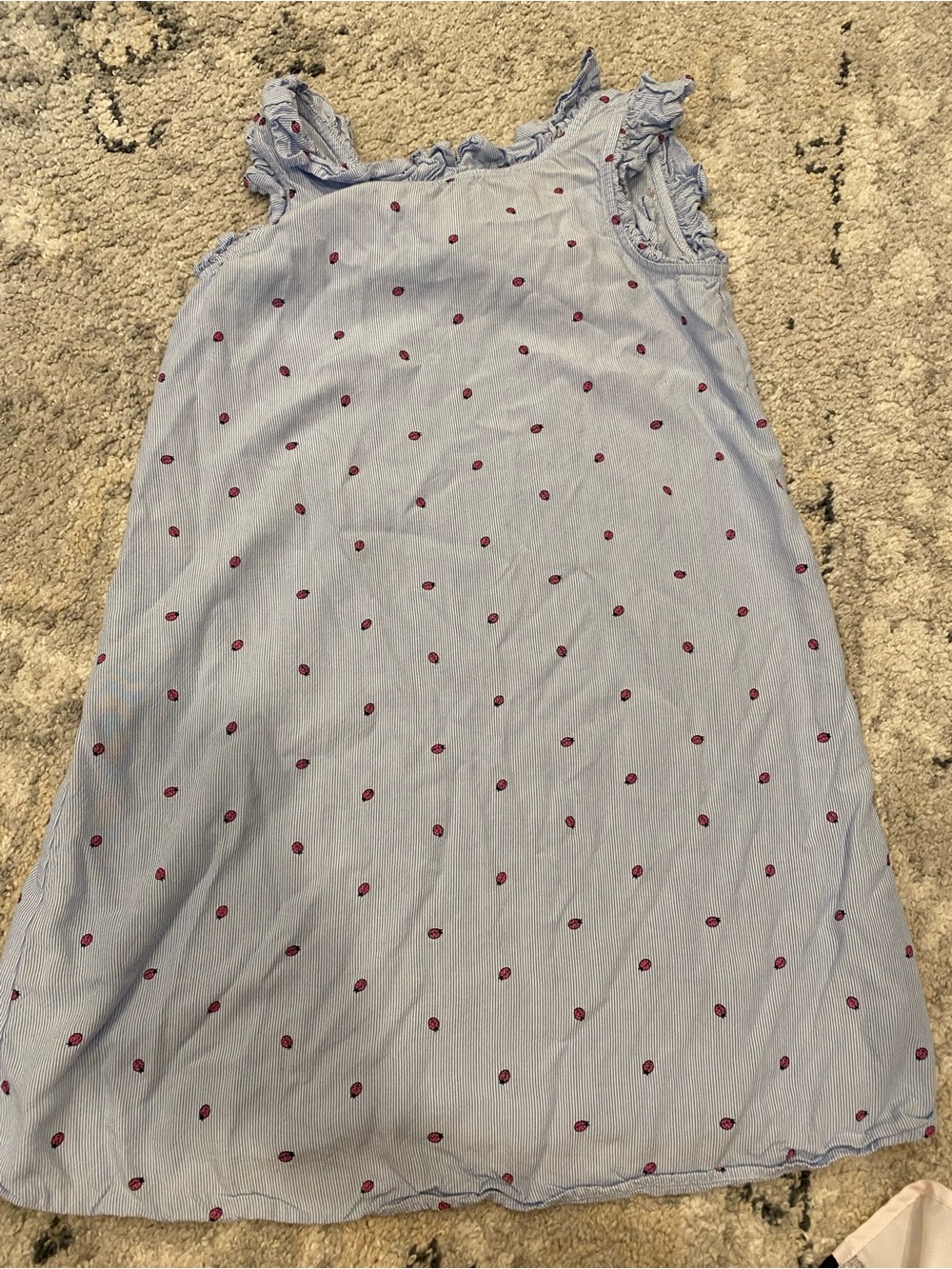 crown & ivy Light Blue Pinstripe dress with ladybugs